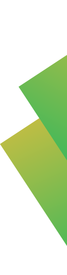 shape2.png